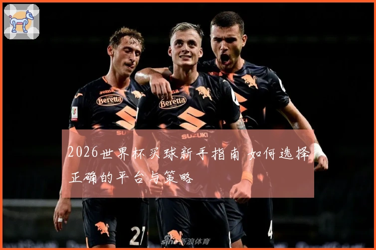 2026世界杯买球新手指南 如何选择正确的平台与策略