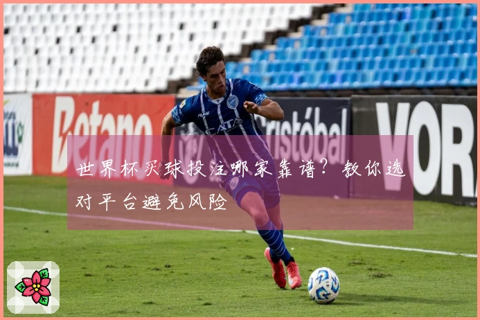 世界杯买球投注哪家靠谱？教你选对平台避免风险