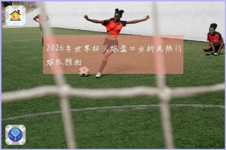 2026年世界杯买球盘口分析及热门球队预测