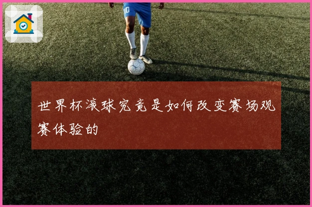 世界杯滚球究竟是如何改变赛场观赛体验的