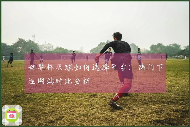 世界杯买球如何选择平台：热门下注网站对比分析