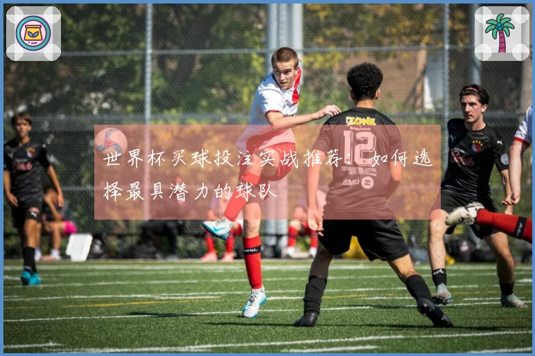 世界杯买球投注实战推荐：如何选择最具潜力的球队