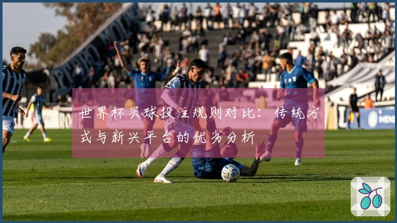 世界杯买球投注规则对比：传统方式与新兴平台的优劣分析