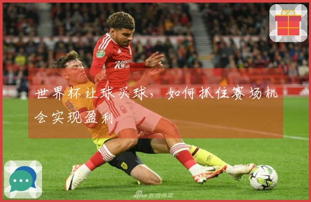 世界杯让球买球，如何抓住赛场机会实现盈利