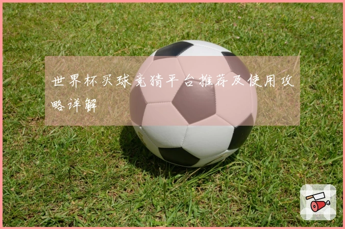 世界杯买球竞猜平台推荐及使用攻略详解