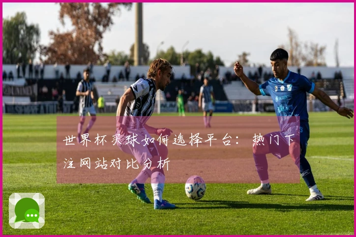 世界杯买球如何选择平台：热门下注网站对比分析