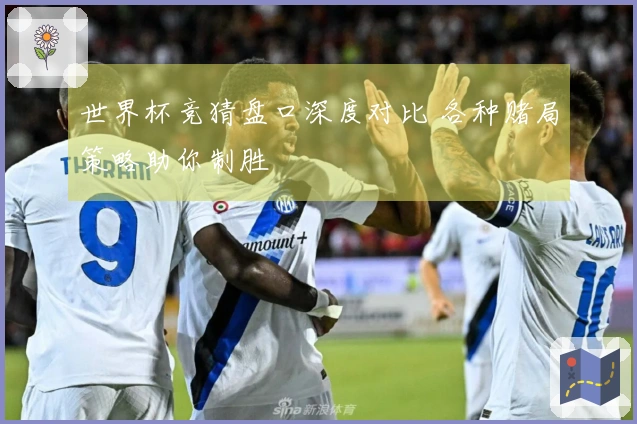 世界杯竞猜盘口深度对比 各种赌局策略助你制胜