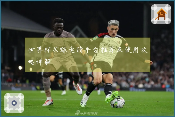 世界杯买球竞猜平台推荐及使用攻略详解