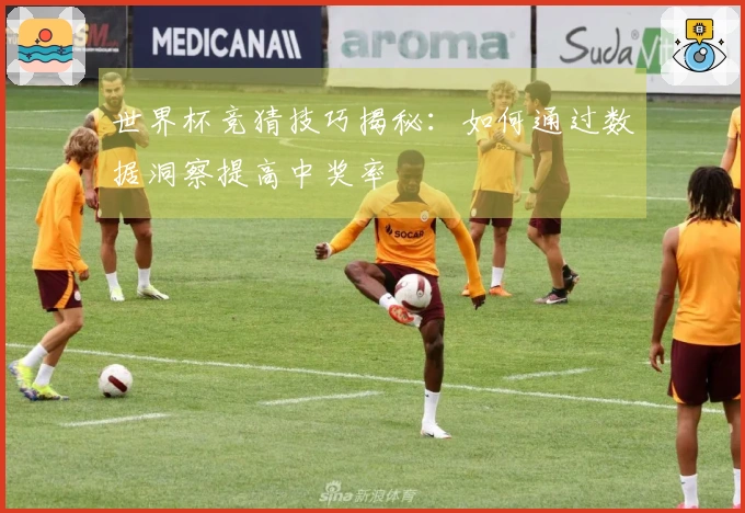 世界杯竞猜技巧揭秘：如何通过数据洞察提高中奖率
