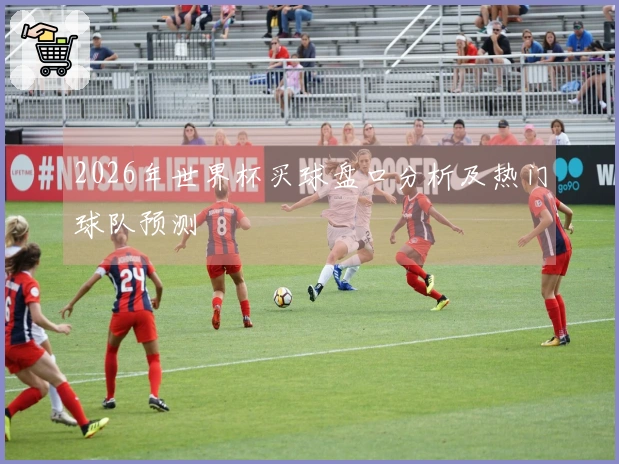 2026年世界杯买球盘口分析及热门球队预测